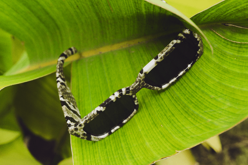 Sommerassistancer til Rosengårdcentret image