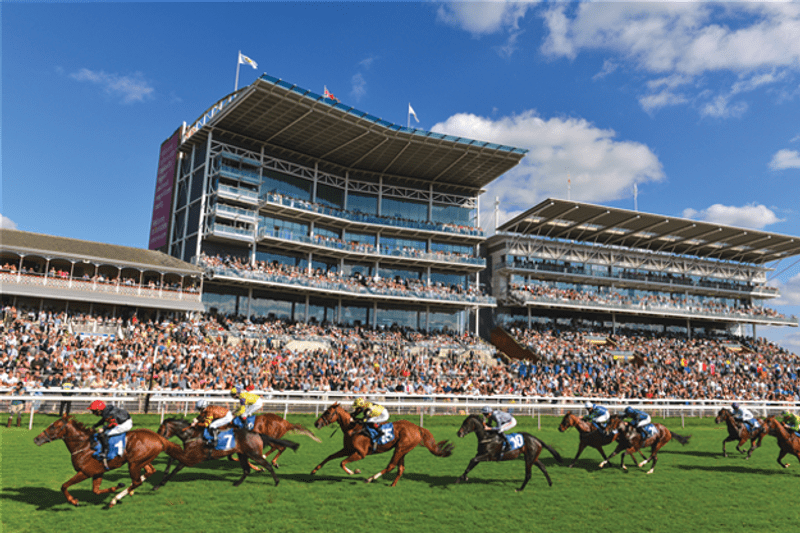 Register your interest in joining the 2026 York Racecourse team! image