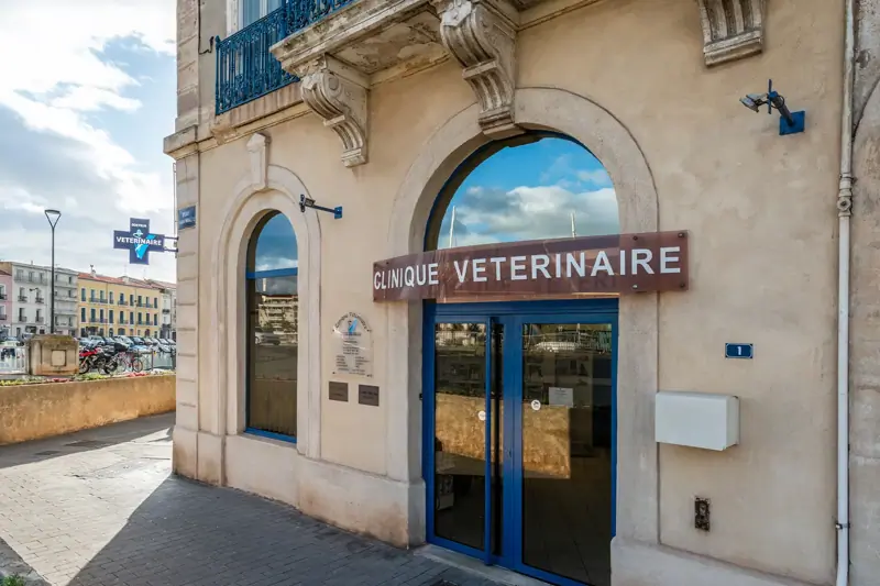 Sète - Tivoli - Vétérinaire Canin - CDI (H/F) image