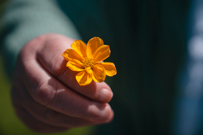 Stendi AS søker etter våkne nattevakter på Innlandet image