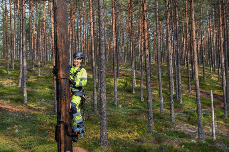 Erfaren elmontör – vardagshjälte med extra kraft image