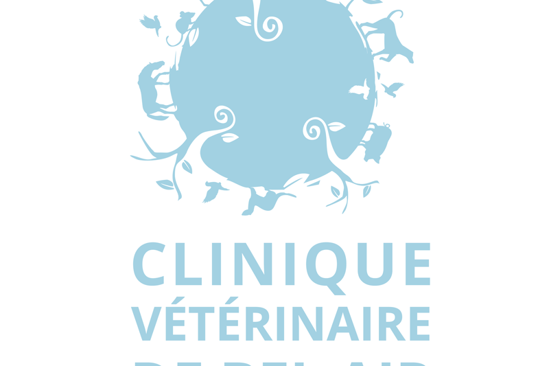 CRECY LA CHAPELLE - BEL AIR - VETERINAIRE CANIN H/F - CDI image