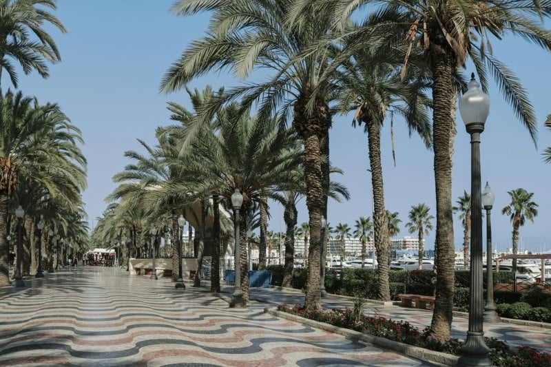 Nederlandstalige Commercieel Medewerker in Alicante / Valencia image