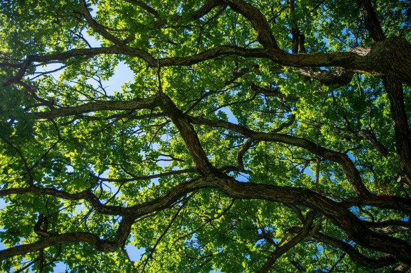 Project Manager IT – Sales & Marketing i Jonsered image