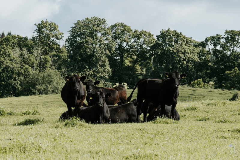 Purchaser image