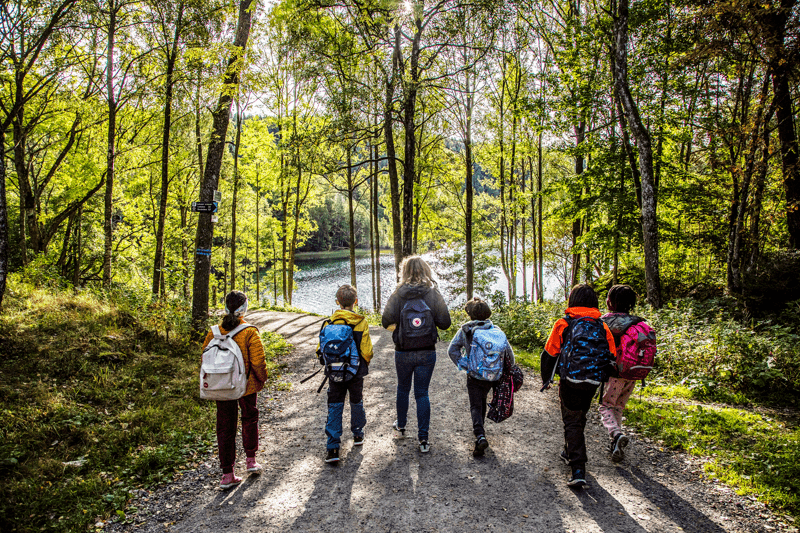 Udir - Avdelingsdirektør - Avdeling for barnehage- og skolemiljø image