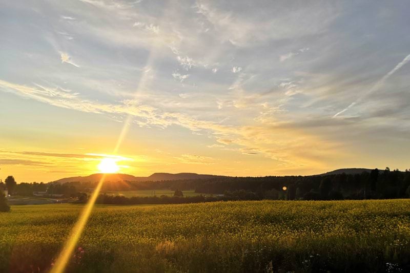 Uppdragsledare inom förorenade områden i Östergötland image