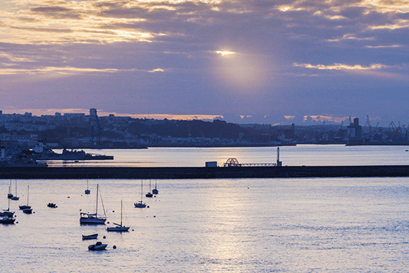 Manipulateur en échographie d’acquisition image