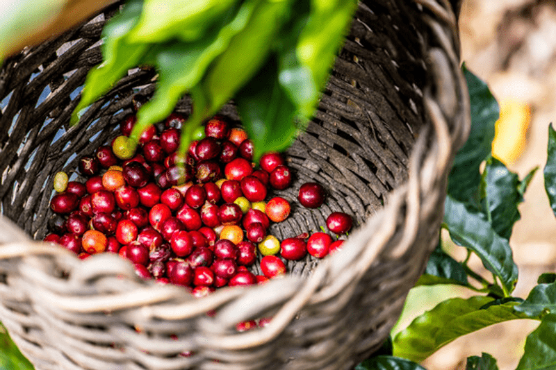 Project Manager Finance Roadmap (0,9fte) image