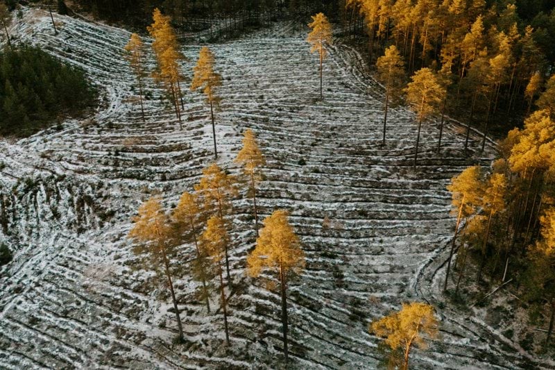 Treballador/a Familiar per CREL a Reus image