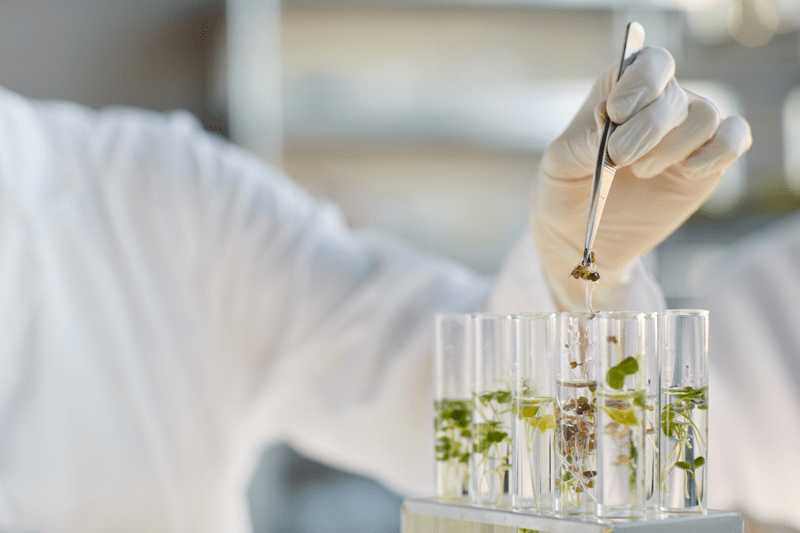Pôle Leader Life Sciences - H/F/X image