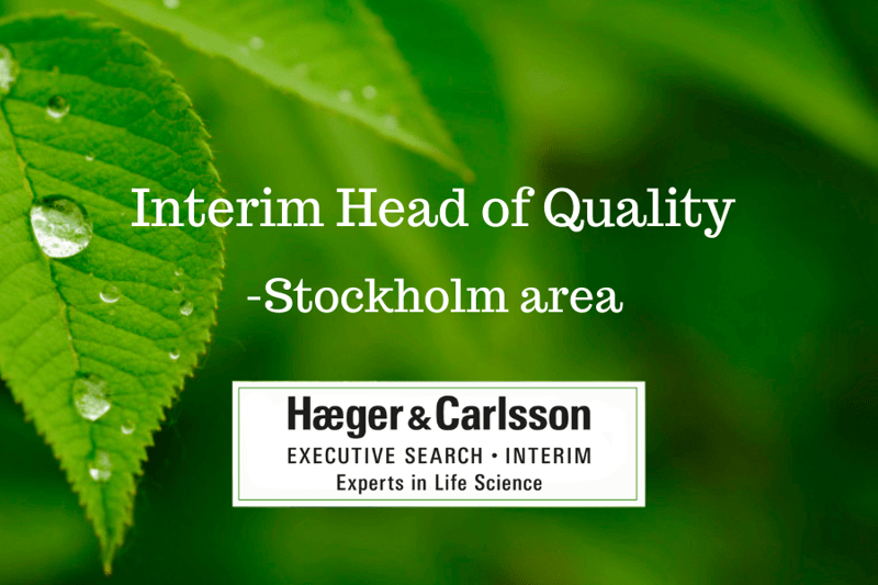 Interim Head of Quality - Stockholm area image