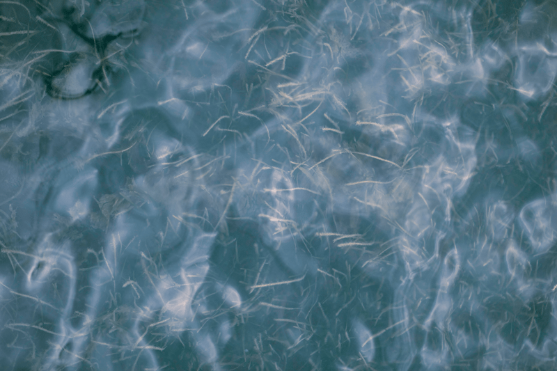 Boknings- & Konferensansvarig image