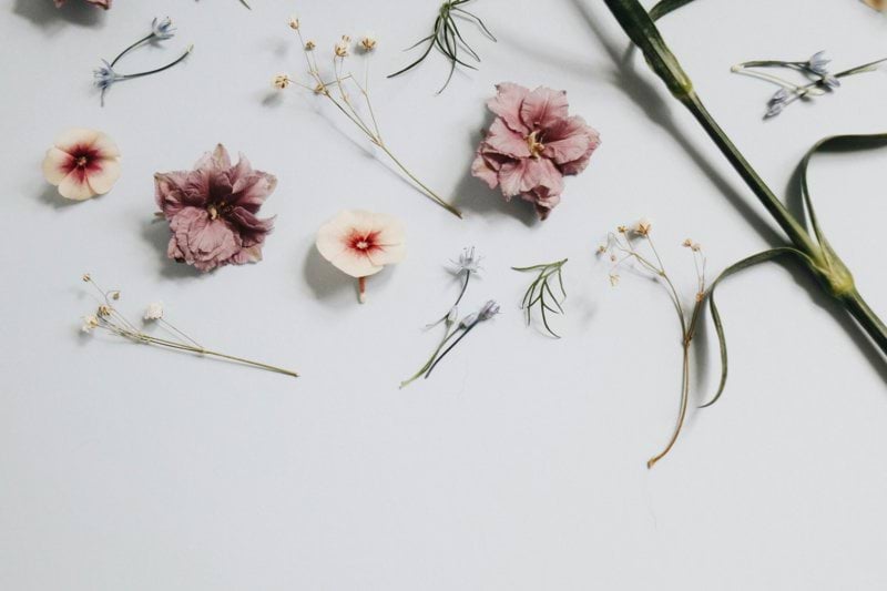 Brand Manager - Team Skincare image