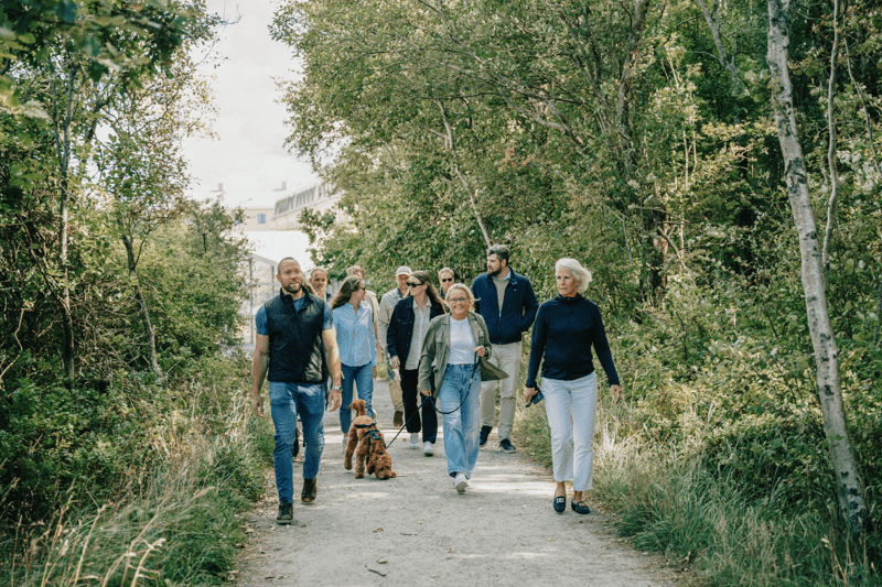 Kraftledningsprojektör image