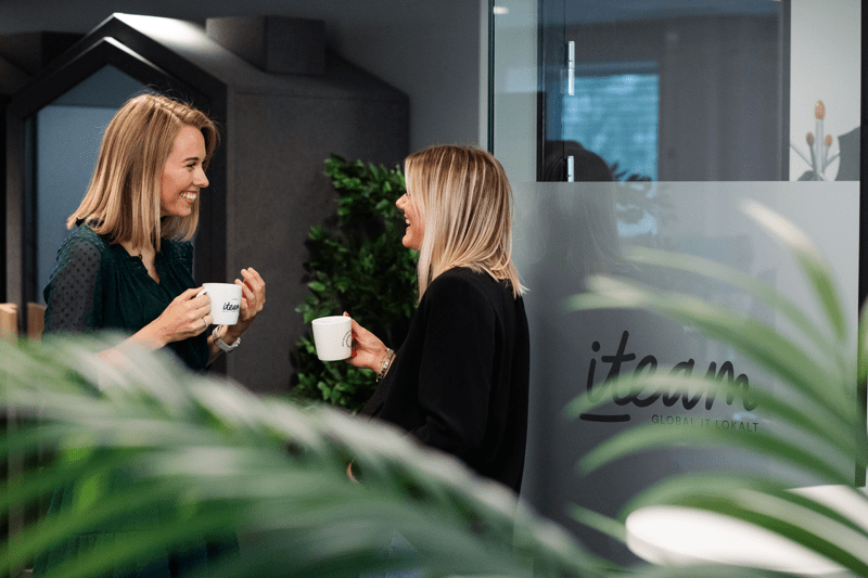 Senior og IT-konsulenter image