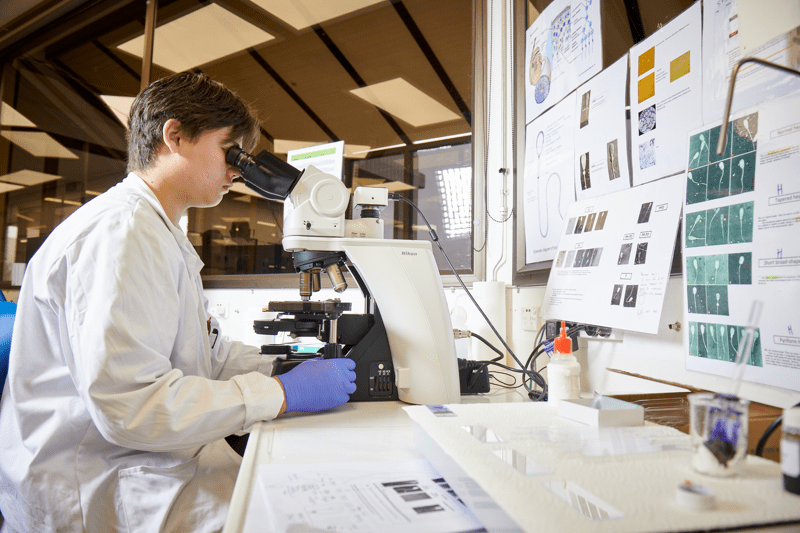 Genetics Graduate Programme - 2 years image