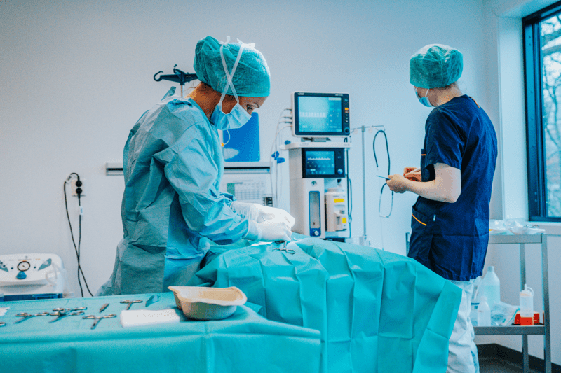 Vil du bli en del av fremtiden innen veterinærmedisin i Bergen? image