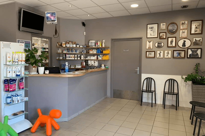 PORTO VECCHIO - KALLISTEVET - VETERINAIRE CANIN OU DIRECTEUR DE CLINIQUE EN CDI (H/F) image