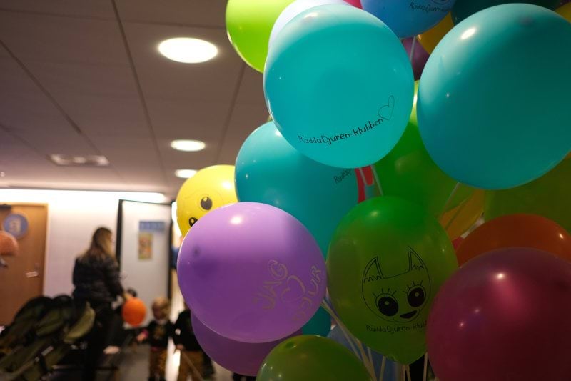 Verksamhetsutvecklare till Rädda Djuren-klubben image
