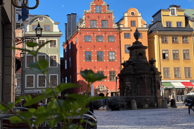 Italienska, historia och några timmar i rampljuset – vågar du guida Gamla stan? image