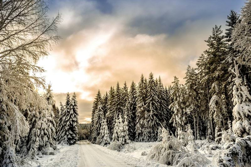 Hammaslääkäri Keski-Uusimaa image