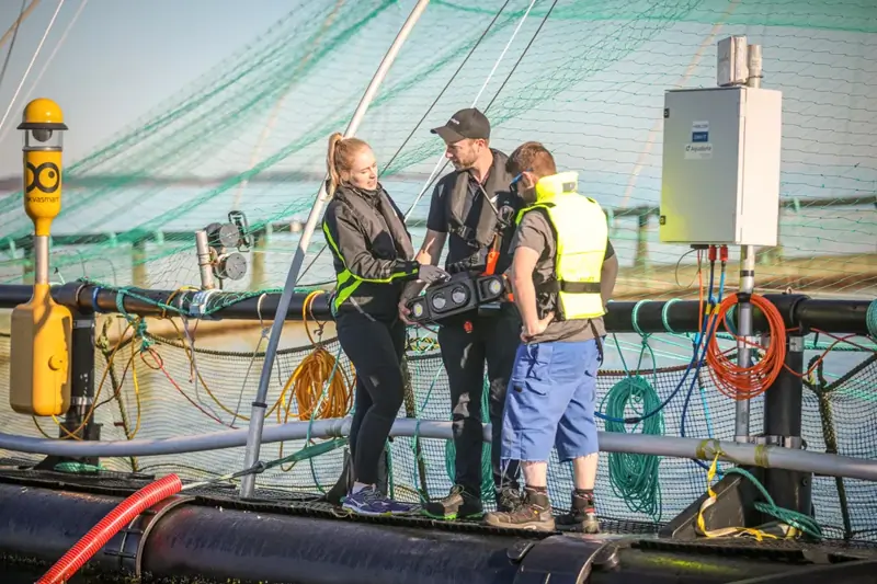 Global HR Director image