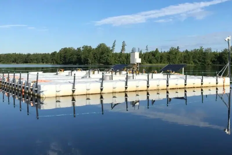 Sommarjobb på Bolmens forskningsstation image