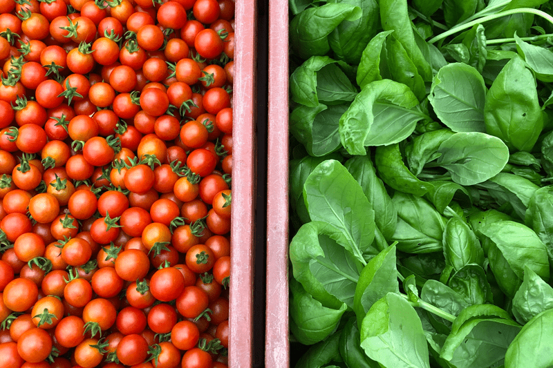 Ouvrier Maraîcher (F/H) image