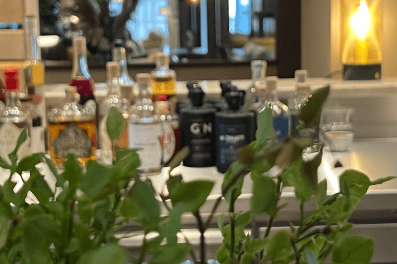 Är du våran nya bartender? image