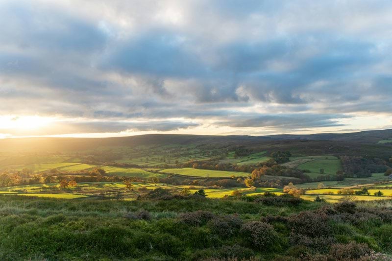 Head Chef | Country Estate & Hotel | Ripon | U/T £50k image