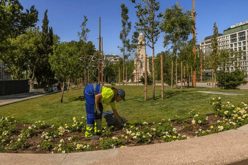 Jefe/a de Servicio de Jardinería image