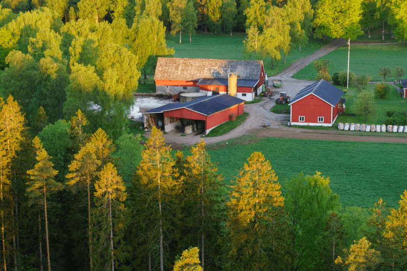 Skogligt sommarjobb på Södra 2025 image