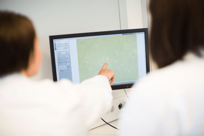 SpermVital - Daglig leder image