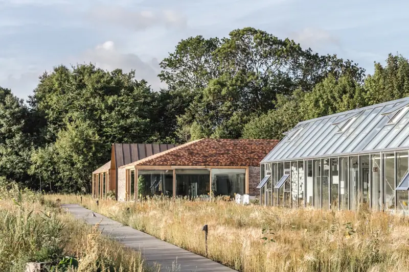 Unsolicited Job Application - Noma image