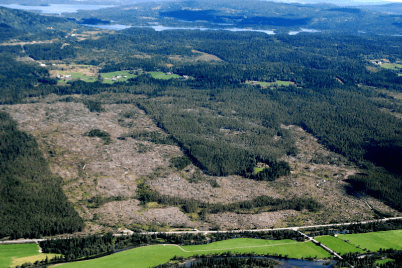 Vil du være med å stanse ødeleggelsen av norsk natur? image