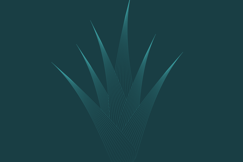 Royal College of Pharmacy Ambassador (Volunteer) image