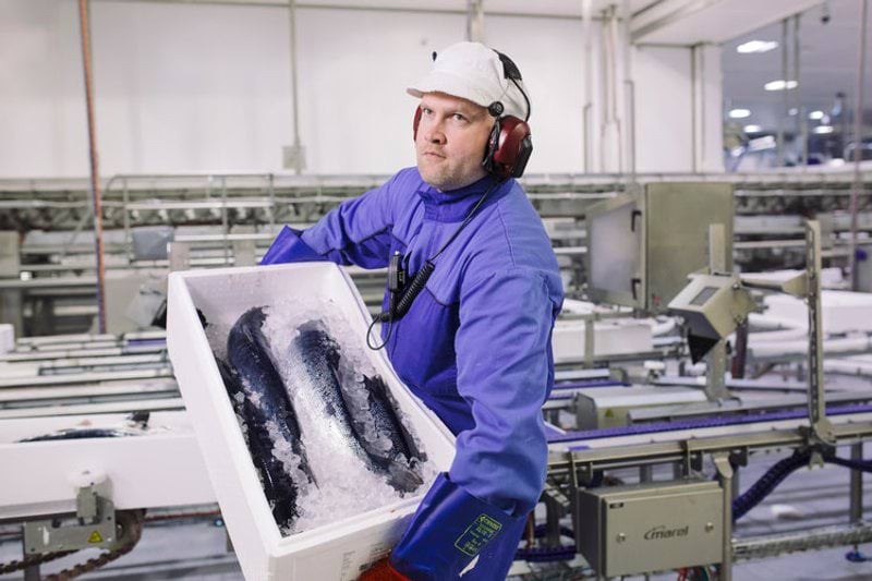 Åpen søknad - produksjonsarbeider image