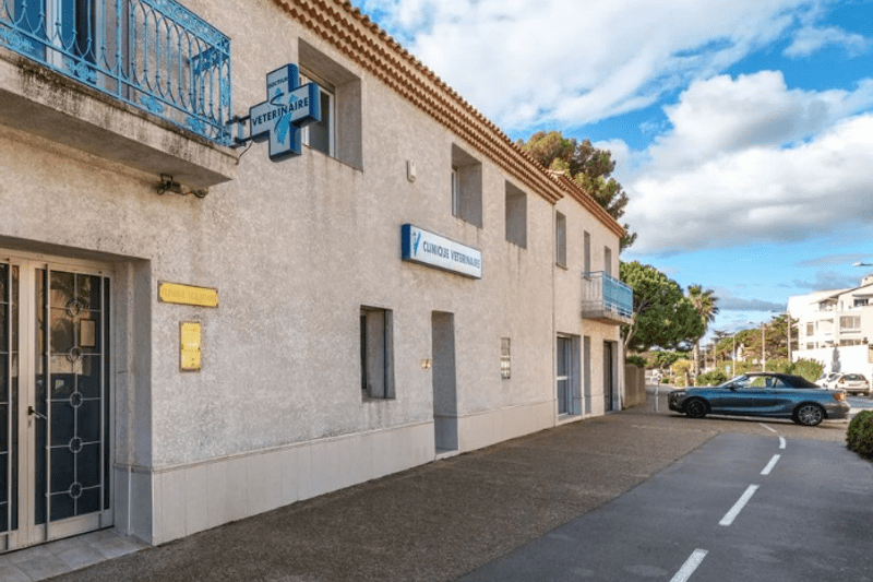 SETE - CORNICHE - VETERINAIRE EN CDI (H/F) image