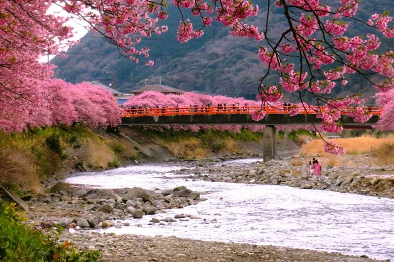 Travel Operations Specialist image