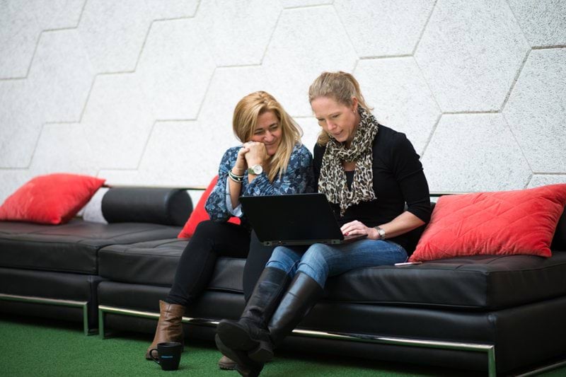 Product Owner, Dynasty image