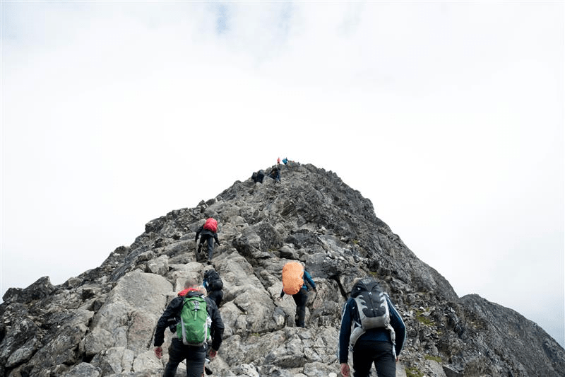 Software Engineer image