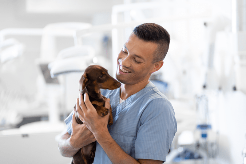 Veterinär till AniCura Bohusläns Djursjukhus image