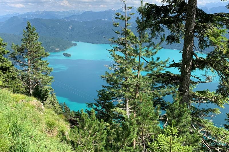 Customer Success Account Manager, Disclosure Engagement image