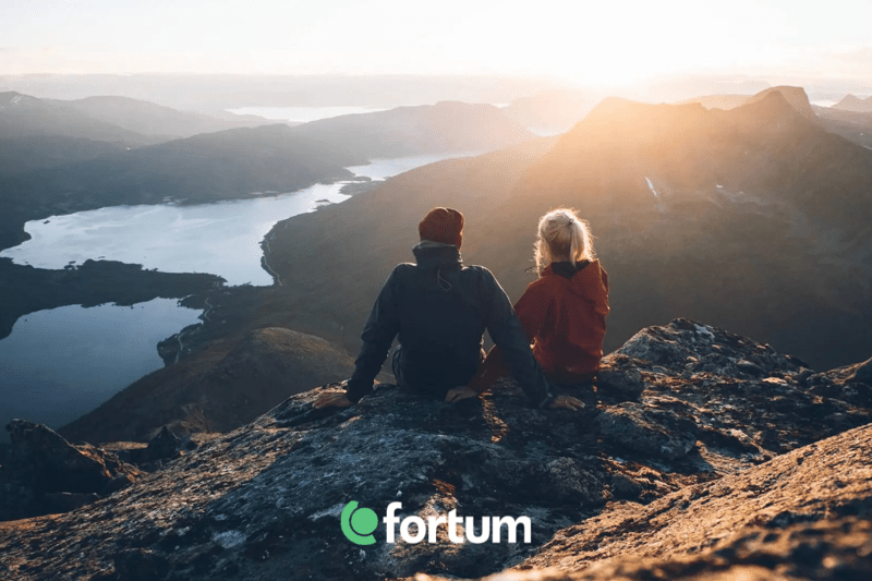 Fortum | Senior Portfolio Manager image