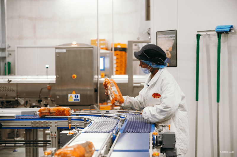 Animateur de ligne de conditionnement  H/F - Apprentissage image