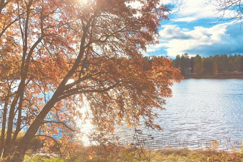 a lake surrounded by trees with a sky background