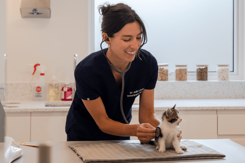 Veterinary Surgeon - Part Time image