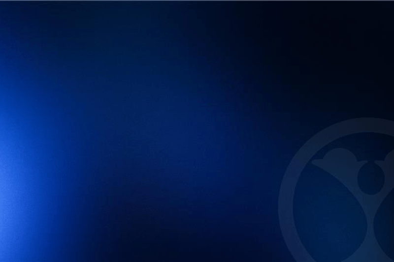 Operations Consultant - Fluent Dutch or German Speaker image