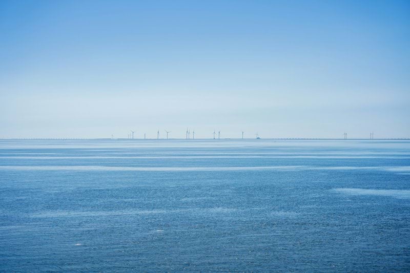 Projectleider Winddock image